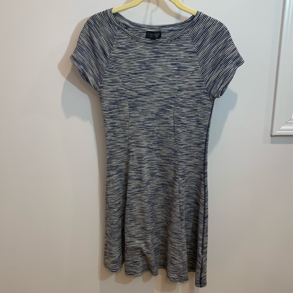 Topshop Fit and Flare Dress